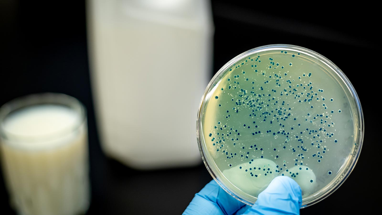 Leche contaminada Francia